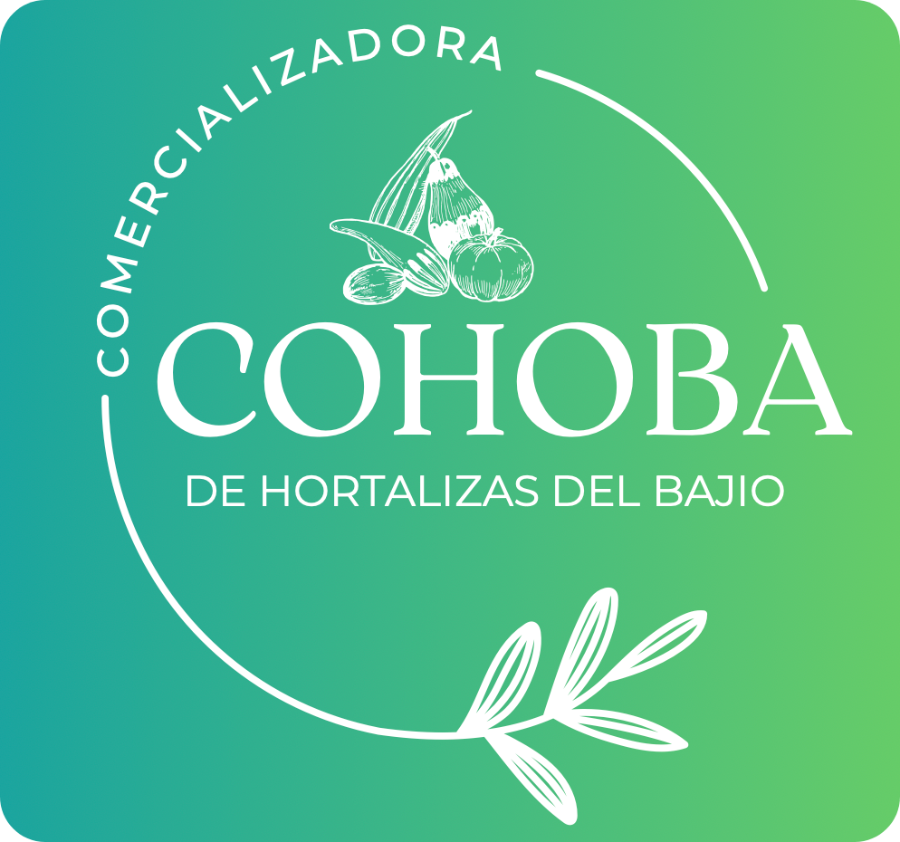 Cohoba - 